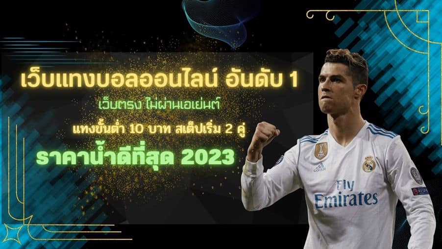 เว็บแทงบอล 2023